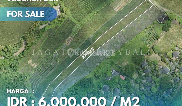 Dijual Tanah Strategis Selangkah Pantai Yeh Gangga Bali  1