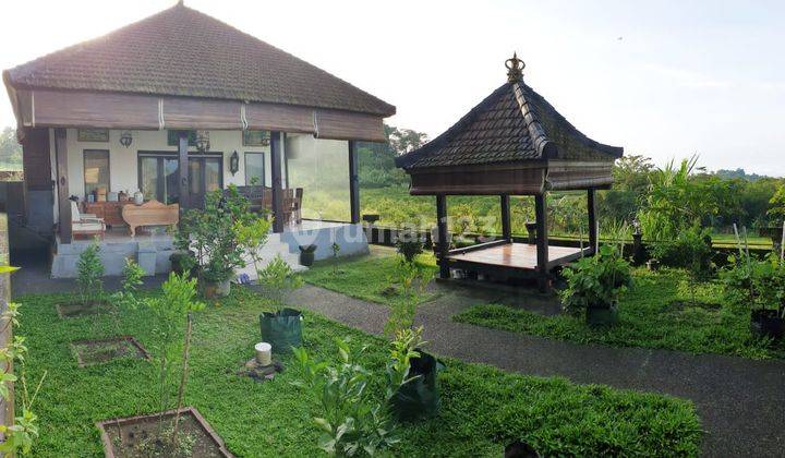 Dijual Rumah Semi Villa Istimewa - Dengan View Gunung Sawah Dan Sunset  1