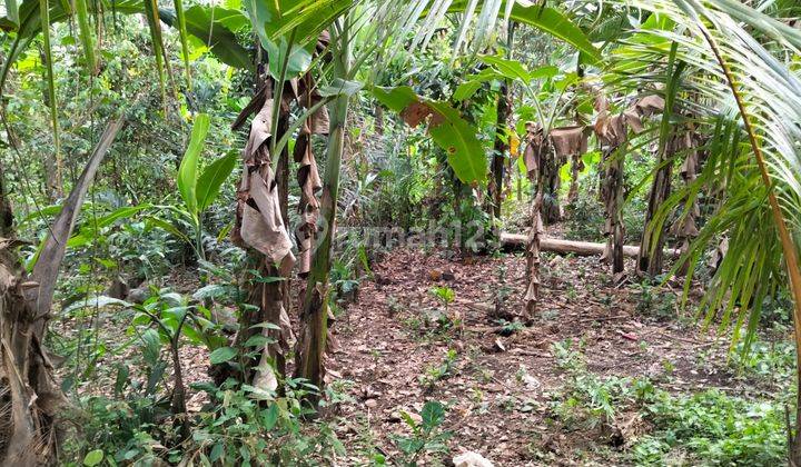 Disewakan Tanah Berlokasi Di Gianyar  2