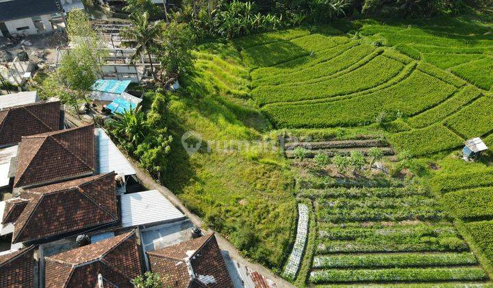 Dijual Tanah Dengan Luas 650m² Los Sungai - Tabanan,Bali 2