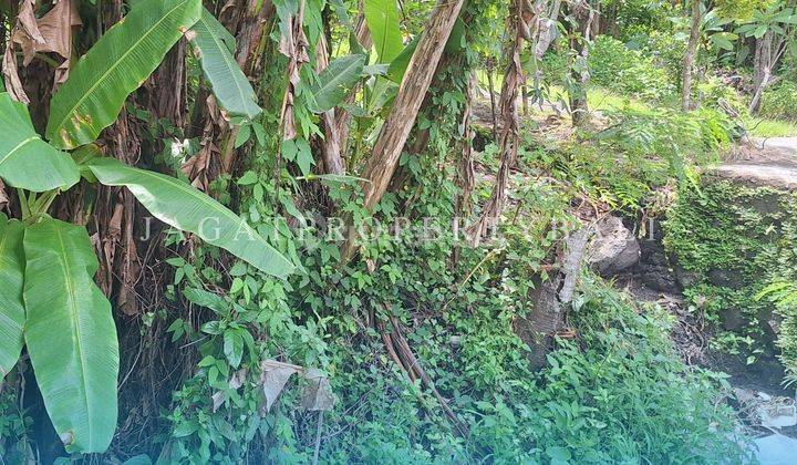 Dijual Tanah Strategis Berlokasi Di Gubug Tabanan  2