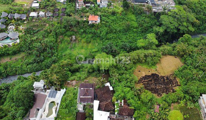 Land For Sale In Ubud Gianyar 2