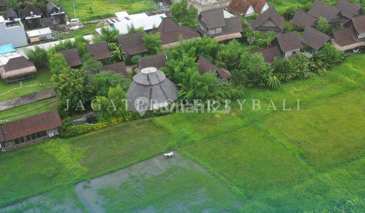 Tanah Kavling Dijual Bali - Lokasi Pererenan Mengwi 2