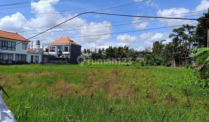 Dijual Tanah Strategis Lokasi Kemenuh Gianyar 1