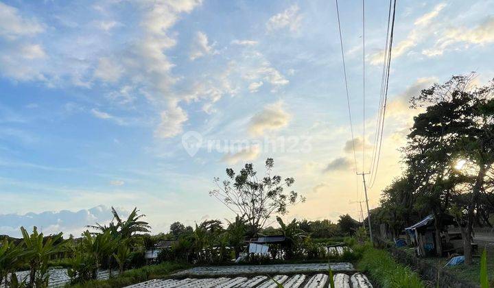 Tanah Murah Di Bali - Lokasi Klungkung 2