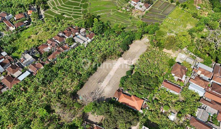 Dijual Tanah Super Murah Lokasi Denpasar Utara 2