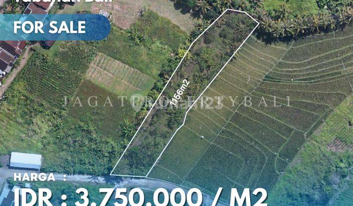 Dijual Tanah Untuk Villa Lokasi Kedungu Tabanan 1