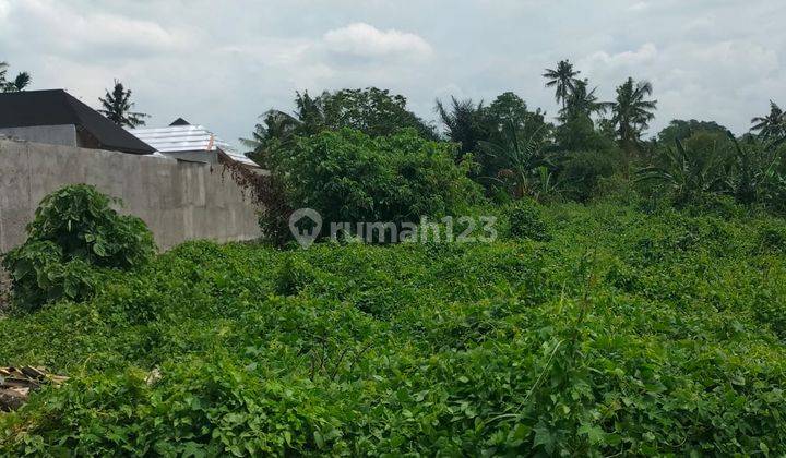 Tanah View Lembah Sungai Dijual Bali - Lokasi Ubud 2