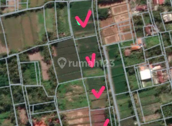 Tanah Disewakan Bali - Lokasi Saba Gianyar 1