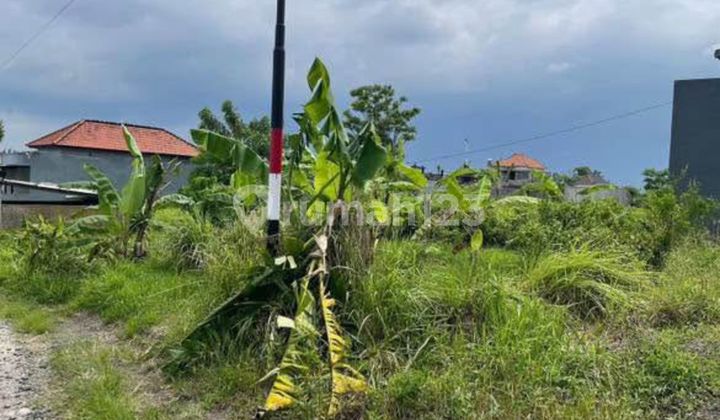 Tanah Strategis Dijual Bali - Lokasi Celuk Sukawati 2