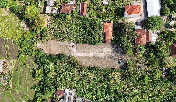 Dijual Tanah Super Murah Lokasi Denpasar Utara 2