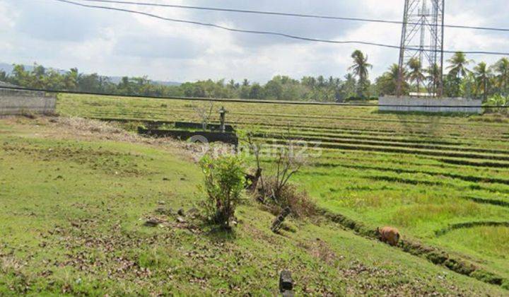 Tanah Dijual Bali - Lokasi Selemadeg Tabanan 1