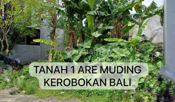 Tanah Dijual Cepat Bali - Lokasi Kerobokan 1