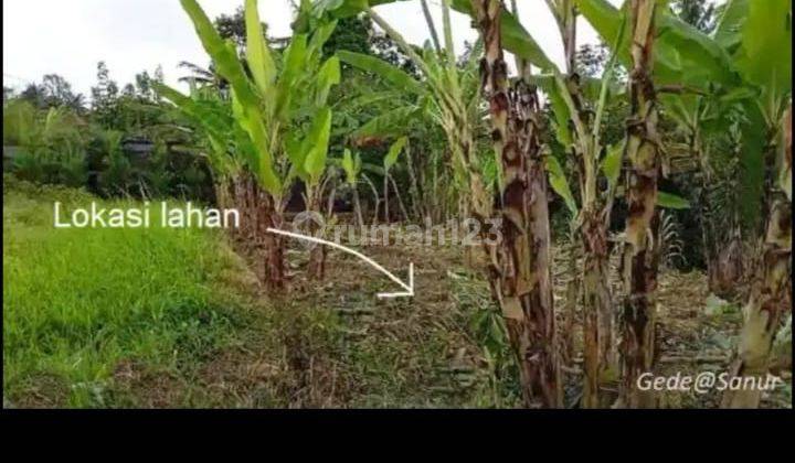 Tanah Strategis Dijual Bali - Lokasi Ubud Gianyar 2
