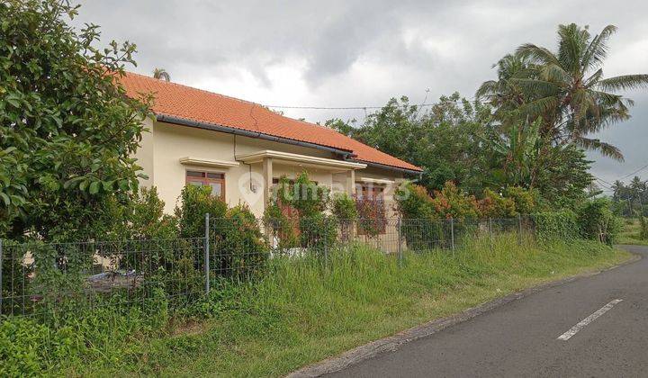 Rumah Baru Selesai Bangun Dijual Bali - Lokasi Selemadeg Tabanan