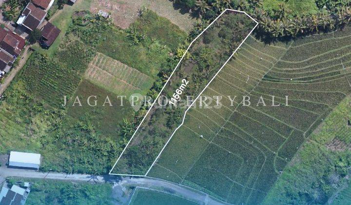 Dijual Tanah Untuk Villa Lokasi Kedungu Tabanan 2