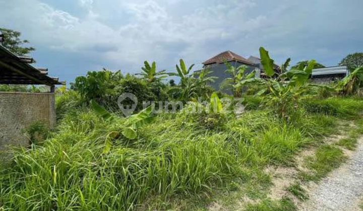 Tanah Strategis Dijual Bali - Lokasi Celuk Sukawati 1