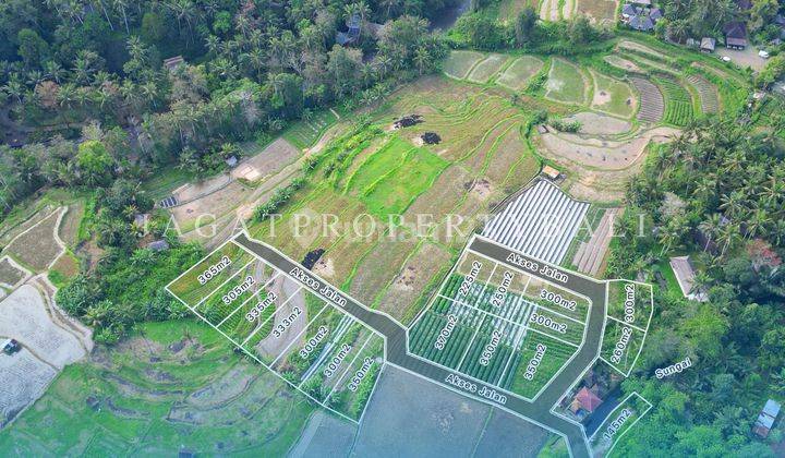 Dijual Tanah Kavling Lokasi Ubud 2