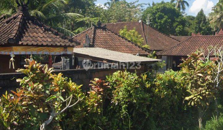 Tanah Strategis Dijual Lokasi Tabanan Bali 2