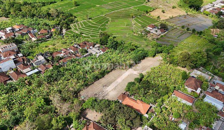 Dijual Tanah Super Murah Lokasi Denpasar Utara 1