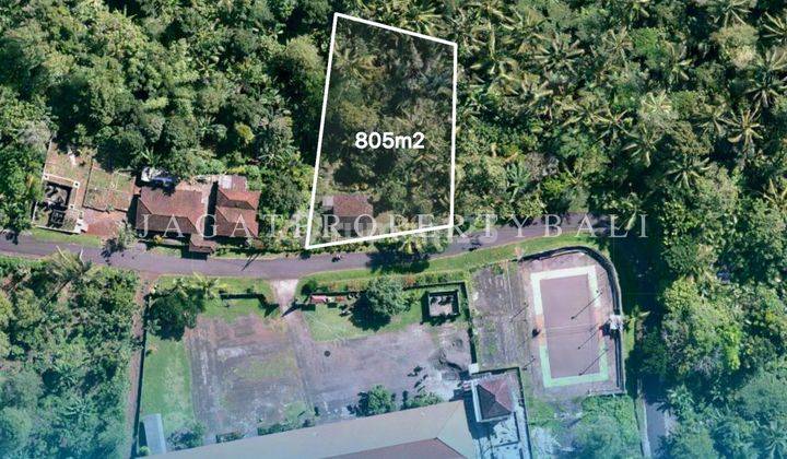 Tanah Strategis Dijual Bali - Lokasi Pupuan Tabanan 2