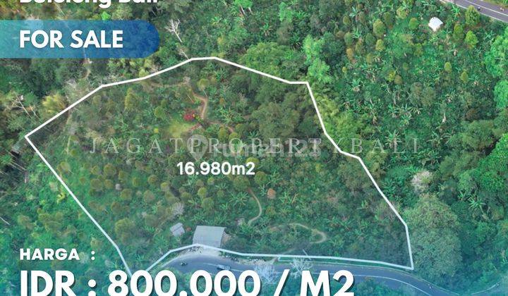 Tanah Munduk Dijual Lokasi Buleleng Bali 1