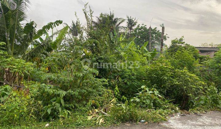 Tanah Strategis Disewakan Bali - Lokasi Batubulan Gianyar 2