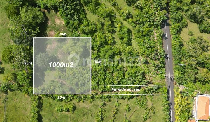 Tanah Luas Dijual Atau Disewakan Bali - Lokasi Ungasan