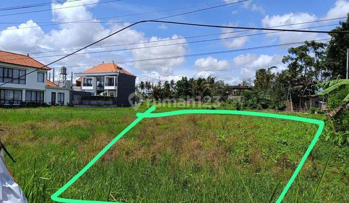 Dijual Tanah Strategis Lokasi Kemenuh Gianyar 2