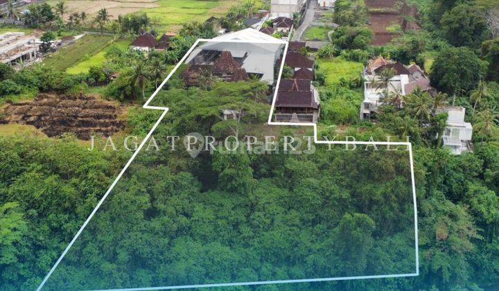 Dijual Tanah Lokasi Ubud 2