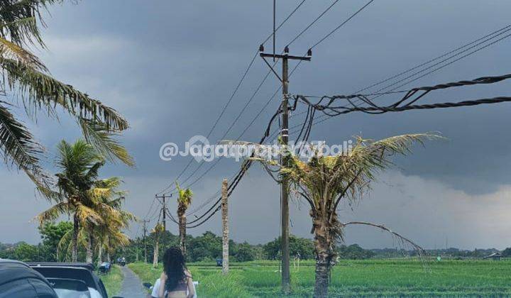 Tanah Dijual Bali - Lokasi Nyitdah Tabanan 2