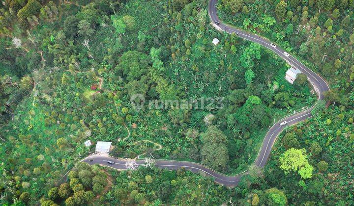 Dijual Tanah Lokasi Buleleng 1