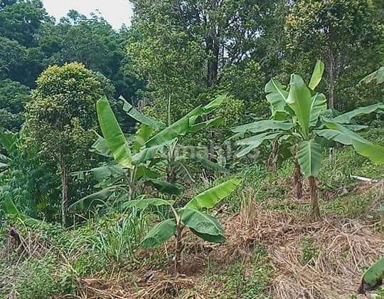 Dijual Tanah Luas Murah Bisa Untuk Dibangun Perumahan Di Desa Cihaur, Sukabumi 1