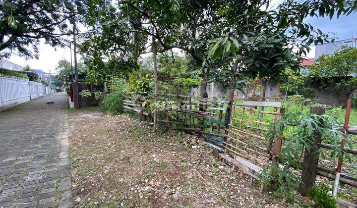 foto lainnya jual cepat tanah luas matang