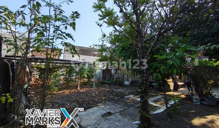 Bonus land with a central city building.