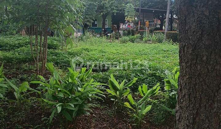 Dijualmurah Tanah Kavling Dalam.komplek Sangat Rapi Villamelati.mas Serpong Dijualmurah Tanah Kavling Dalam.komplek Sangat Rapi Villamelati.mas Serpong