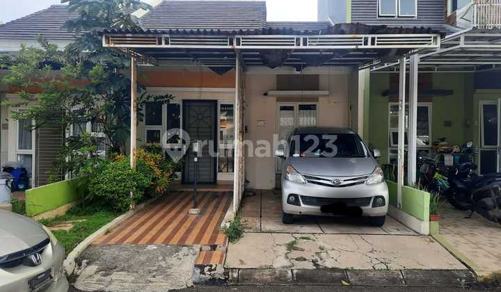Di Sewakan Rumah 2Lt , Bebas Banjir Paradise Serpong Di Sewakan Rumah 2Lt , Bebas Banjir Paradise Serpong