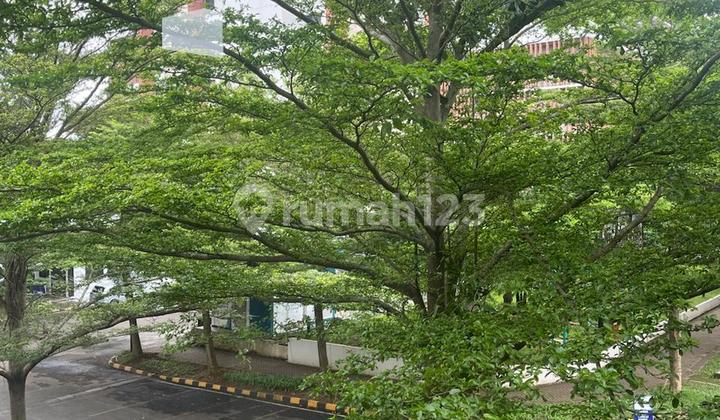 Ruko Campton-BSD City for Rent Ruko Campton-BSD City for Rent