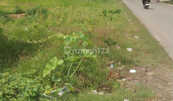 Tanah di Pinggir Jalan Raya, Arah Pemda Tigaraksa Kab. Tangerang 1