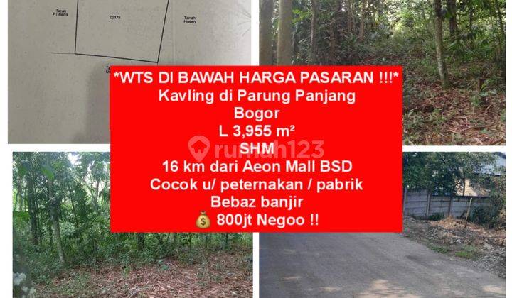 Kavling di Parung Panjang Bogor. Di Bawah Harga Pasaran 1