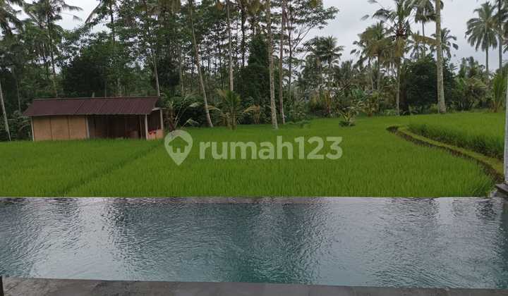 Villa Cuan Gianyar, Bali Full Furnizh Ada pool pribadi Villa Cuan Gianyar, Bali Full Furnizh Ada pool pribadi