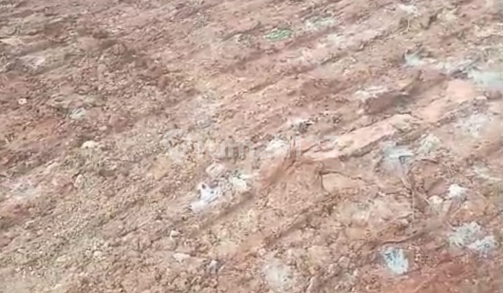 For Sale and For Rent Land in Curug (Flat) Beside the Main Road For Sale and For Rent Land in Curug (Flat) Beside the Main Road