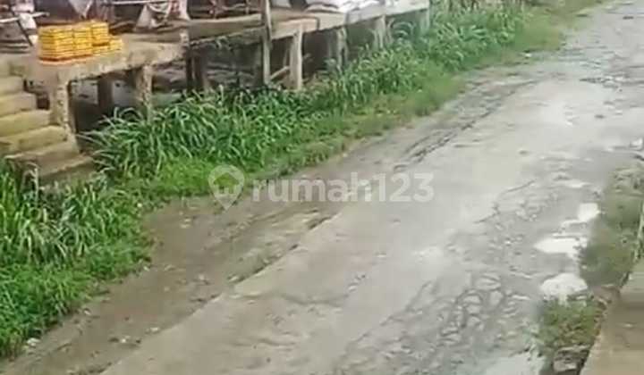 JARANG ADA, JUAL TANAH 11 HA SHM BONUS PETERNAKAN AYAM TELOR PRODUKTIF DI RUMPIN BOGOR JARANG ADA, JUAL TANAH 11 HA SHM BONUS PETERNAKAN AYAM TELOR PRODUKTIF DI RUMPIN BOGOR