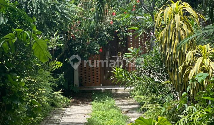 Rumah 2 Lantai Tropical di Daerah Jagakarsa 2