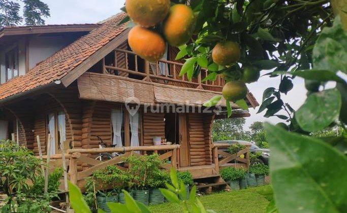 Villa di Cibodas Lembang Bonus Kebun Jeruk, Lemon, Kolam Ikan, Kandang Domba