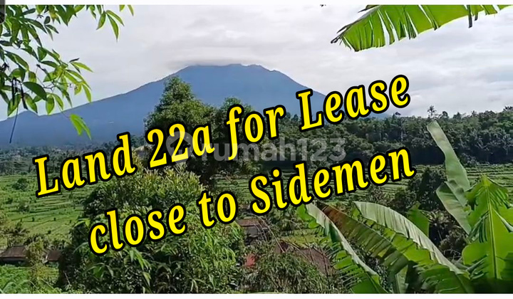 Bebas Banjir, Tanah, 1 Lantai, SHM, Dekat Tempat Wisata, Siap Huni,