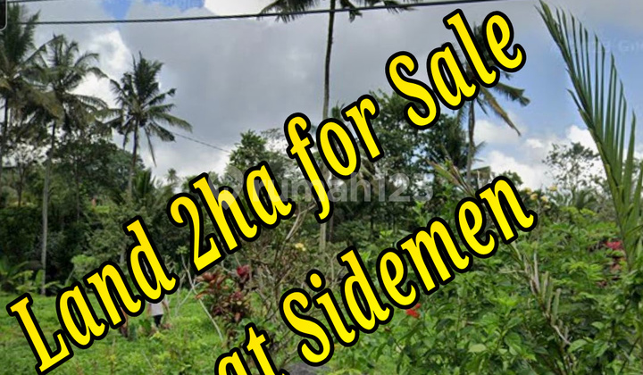 Land 2Ha For Sale At Sidemen Traditional Village Bali Tanah di Pasar, Jl. Raya Sidemen, Sidemen, Sidemen, Karangasem, Bali, Indonesia, 80864, Sidemen SHM 20000.0 M²