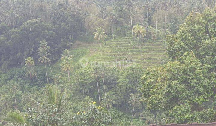 Land For Sale Close To Sidemen Traditional Village Bali Tanah 250 Shm Are 2