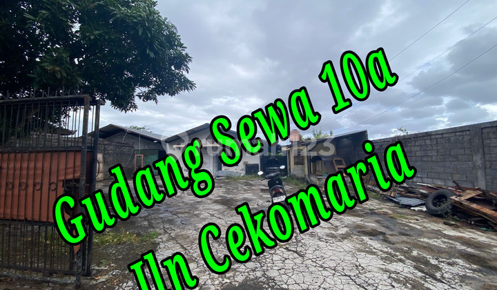 Disewakan Gudang 10a Di Area Jln Cekomaria Denpasar Bali Gudang di Jl. Cekomaria No. 1, Peguyangan Kangin, Denpasar Utara, Kota Denpasar, Bali, Indonesia, 80115, Denpasar Utara 1000.0 m² Unfurnished SHM Disewakan Gudang 10a Di Area Jln Cekomaria Denpasar Bali Gudang di Jl. Cekomaria No. 1, Peguyangan Kangin, Denpasar Utara, Kota Denpasar, Bali, Indonesia, 80115, Denpasar Utara 1000.0 m² Unfurnished SHM