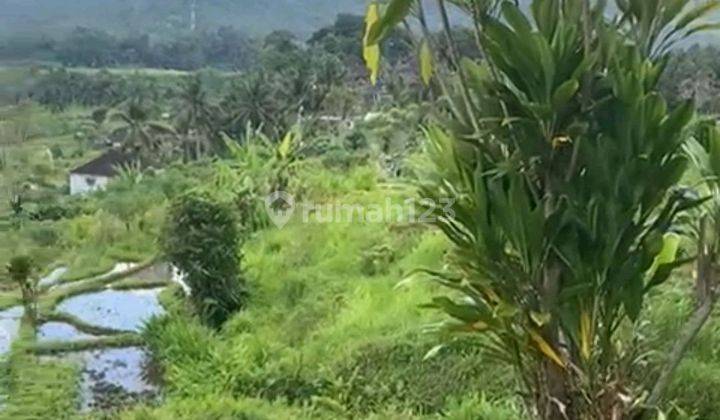 Land Fot Rent Location At Sidemen Traditional Village Bali Tanah di Jln. Luwah Sidemen Karangasem Bali, Sidemen SHM - Sertifikat Hak Milik 14 are 2